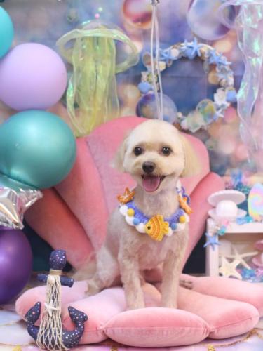 20240806メルちゃん